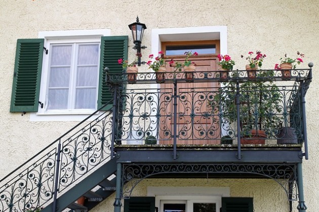 plantas-para-balcones compactos